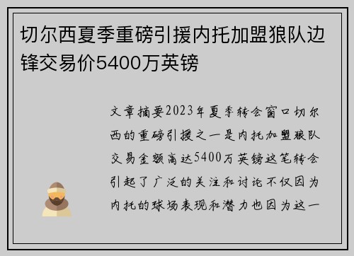 切尔西夏季重磅引援内托加盟狼队边锋交易价5400万英镑